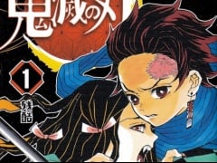 Special Feature: Looking Back at Demon Slayer by the Numbers