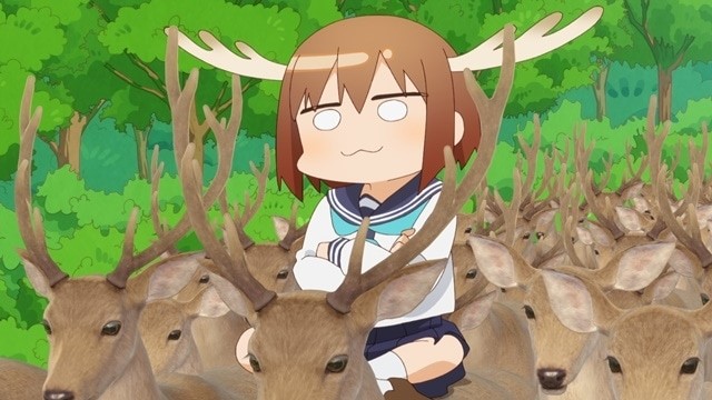 Scene cuts from the anime 'My Deer Friend Nokotan'