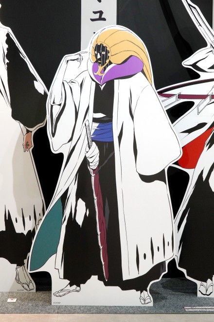 BLEACH WORLD