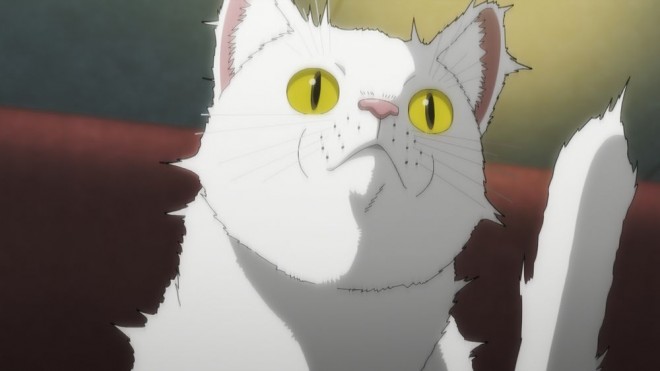 Night of the Living Cat