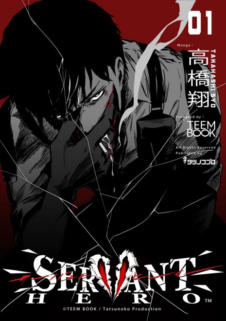 Servant Hero