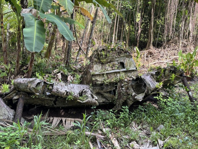 Wartime remains still visible on Peleliu Island in Palau