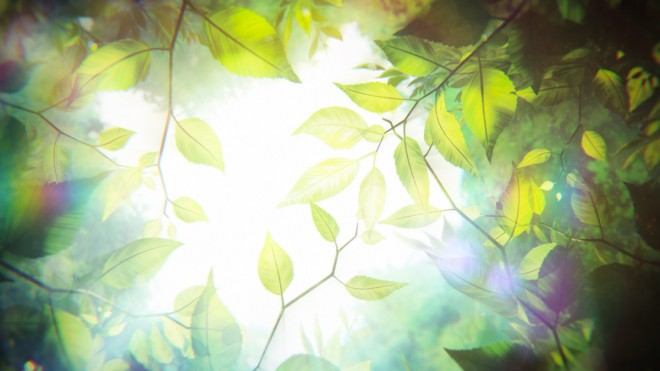 Anime The Classroom of a Black Cat