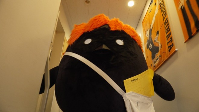 Haikyu!! special program