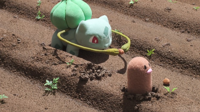 New scene cut from Pokémon Concierge featuring various Pokémon including Metagross and Arcanine.