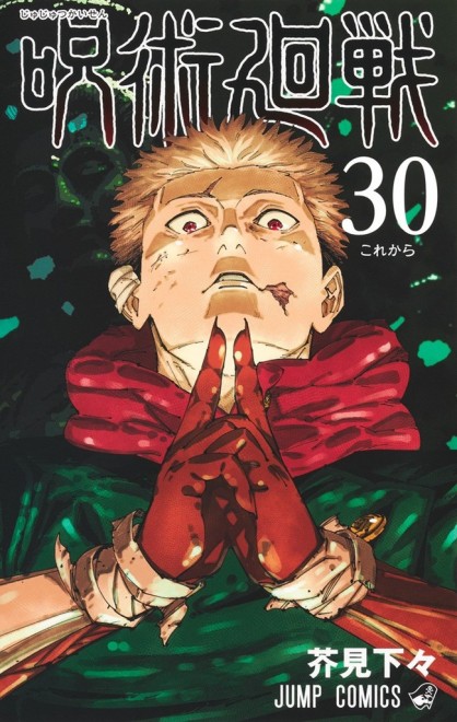 Manga Jujutsu Kaisen Vol30 cover