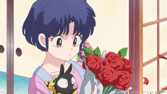 Ranma 1/2