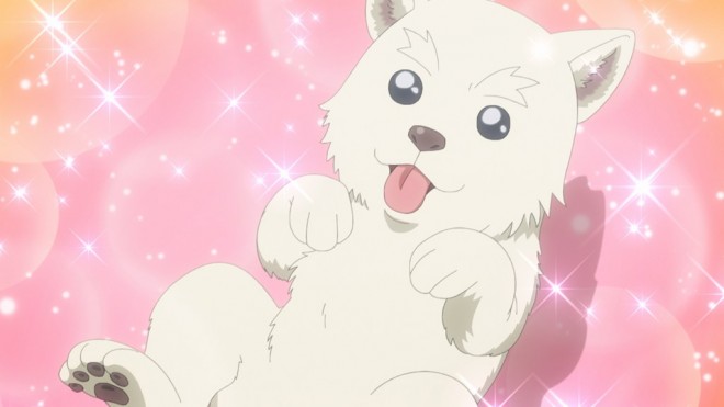 A Mangaka’s Weirdly Wonderful Workplace