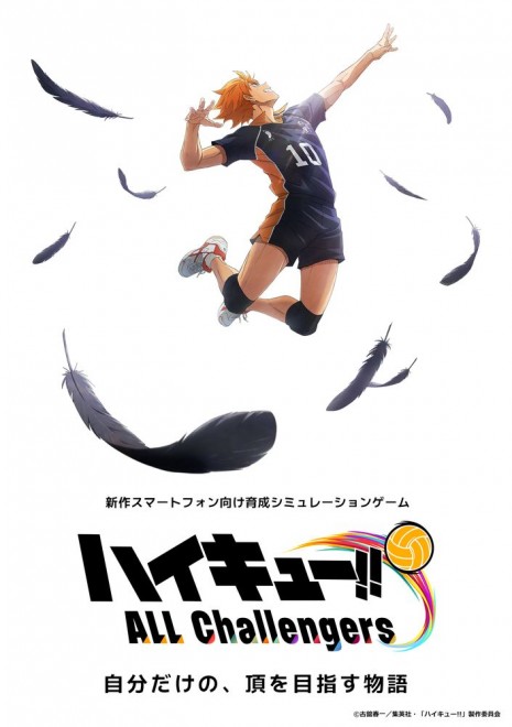 Haikyu!! ALL Challengers