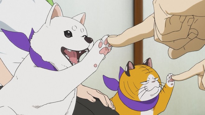 Hana’s Tsugai: Fore Tiger, Rear Wolf