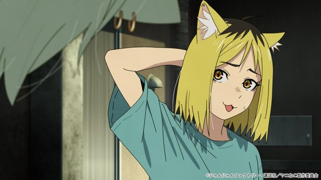 Chainsmoker Cat