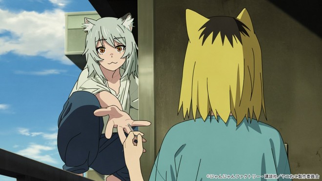 Chainsmoker Cat
