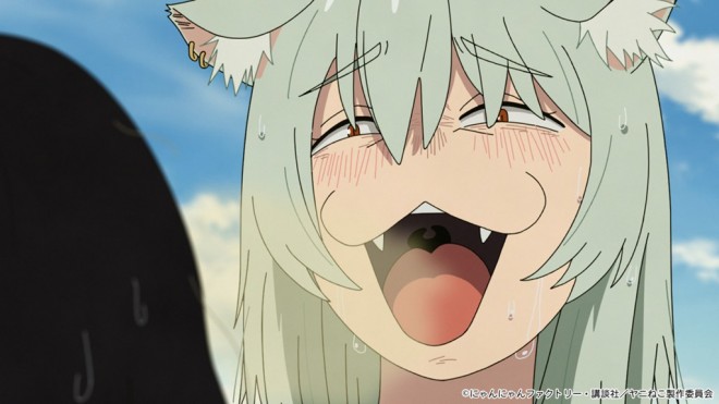Chainsmoker Cat