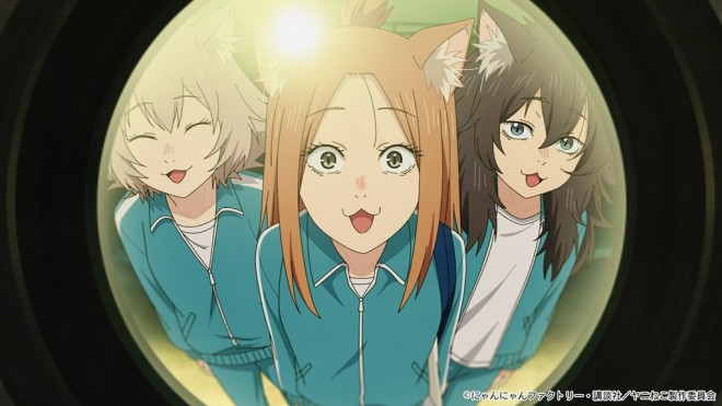 Chainsmoker Cat