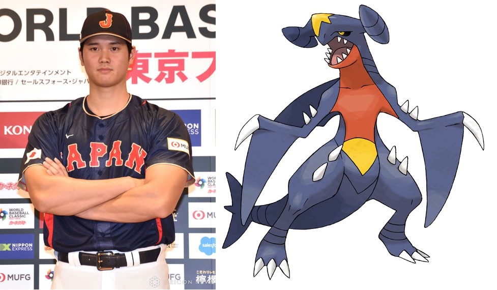 Pokémon Officially Embraces 
