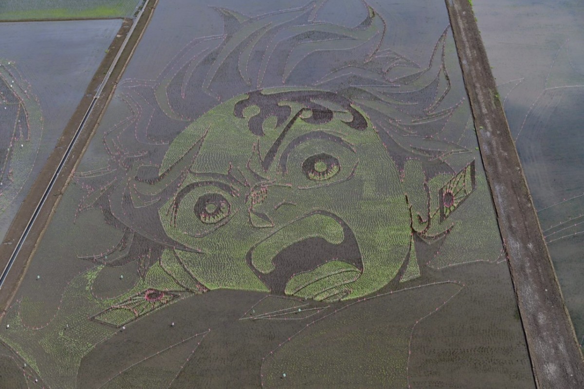 Giant Tanjiro Rice Paddy Art Unveiled Ahead of Demon Slayer: Infinity ...
