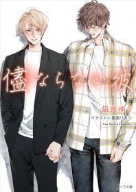 Japan Weekly Light Novel Sales Ranking As of 2024/11/11 Announced by Oricon: A popular BL series takes the top spot for two consecutive weeks.