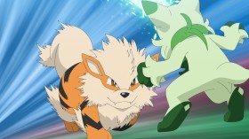 [Pokémon] Pokémon Episode 74 Story & Scene Previews Released : Liko Battles Her Grandmother, Fluffy Arcanine Charges!