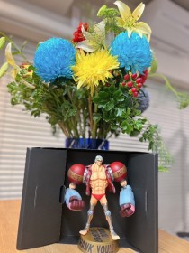 Body of Franky, Face of Yao! Special 'Yaonky' Figure Unveiled