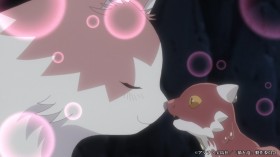 The Cat and the Dragon Episode 1 Story & Preview Cuts Released: A Mother Cat Decides to Raise a Baby Dragon 