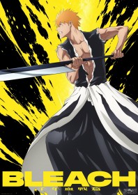 BLEACH Anime Reaches Its Finale Next Week, Final Battle Visual Revealed